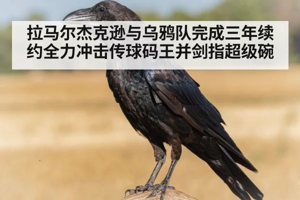 拉马尔杰克逊与乌鸦队完成三年续约全力冲击传球码王并剑指超级碗